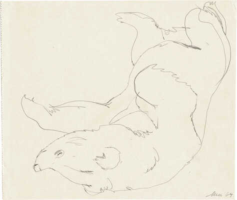 Шишмарёва Татьяна Владимировна. Белый медведь